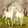sioseltinoun